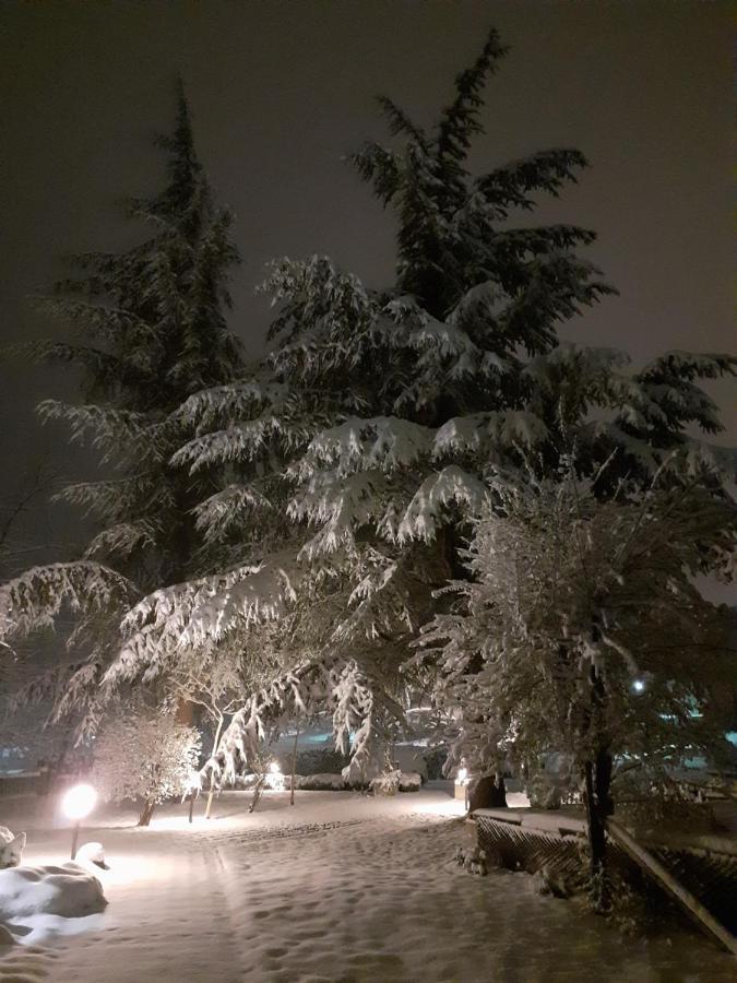 Hotel Prato Verde Polinago 외부 사진